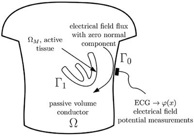 Solving the Inverse Problem of Electrocardiography on the Endocardium Using a Single Layer Source